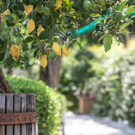 Casa Mary Family סורנטו