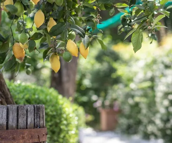 Casa Mary Family Sorrento